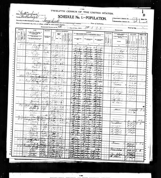 File:1900 census nc mecklenburgh long creek d196 pg3.jpg