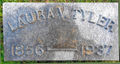 Thumbnail for version as of 11:24, 28 January 2021