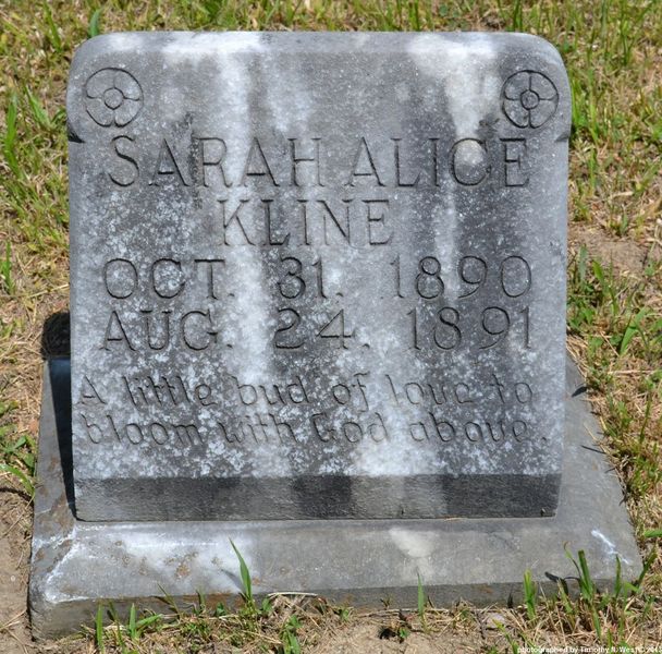 File:115-kline sarah alice 1890-1891.jpg