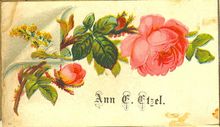 Calling Card Ann E Etzel.jpg
